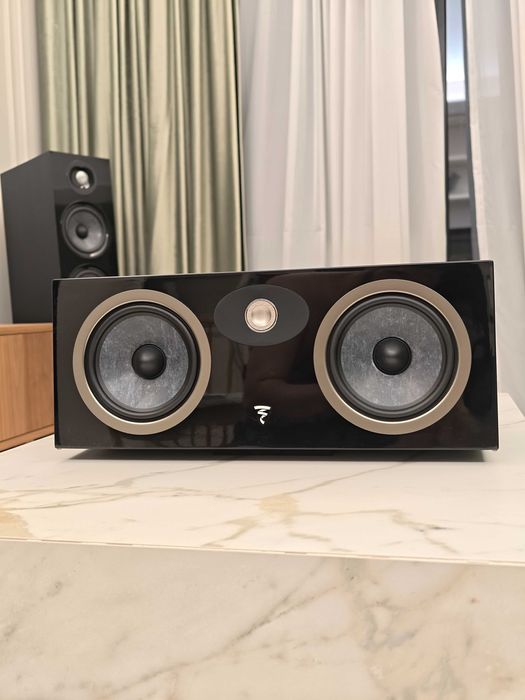 Boxe centru Focal Theva