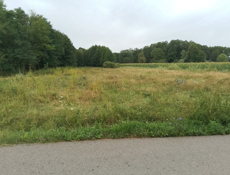 Teren mixt intravilan,extravilan