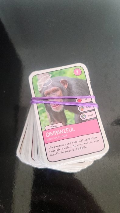 Plusuri Mega Image Expeditie in jurul lumii 2 și 3