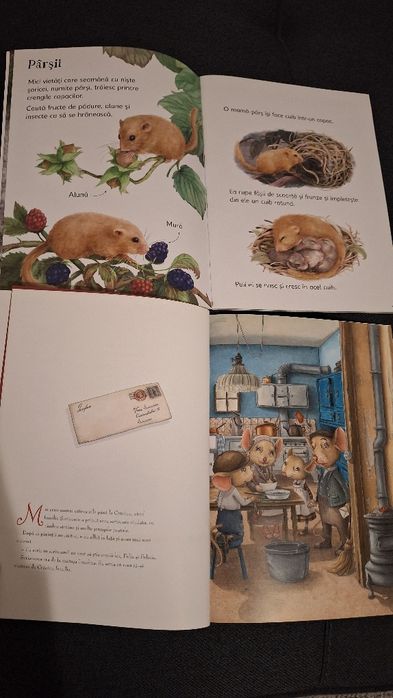 Carti pentru copii de 4-5 ani