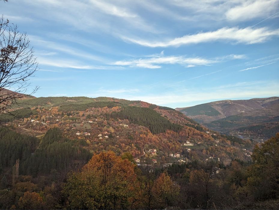 Поземлен имот с. Свидня