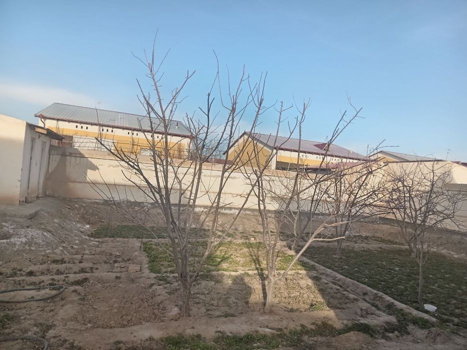 Ховли, Уй жой 600 кв²