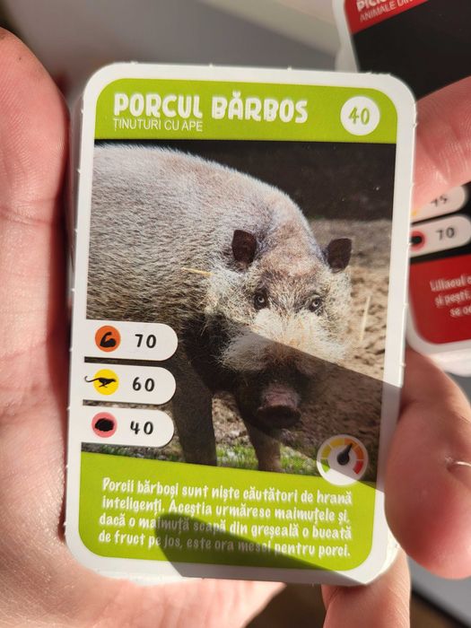 Colectie mega expeditie in jurul lumii 1 si 2 dubluri