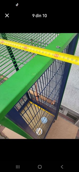 Colivie pentru papagali