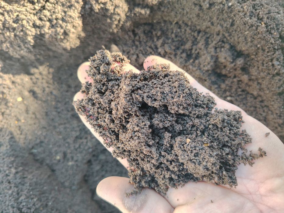 Продам Калифорнийские черви