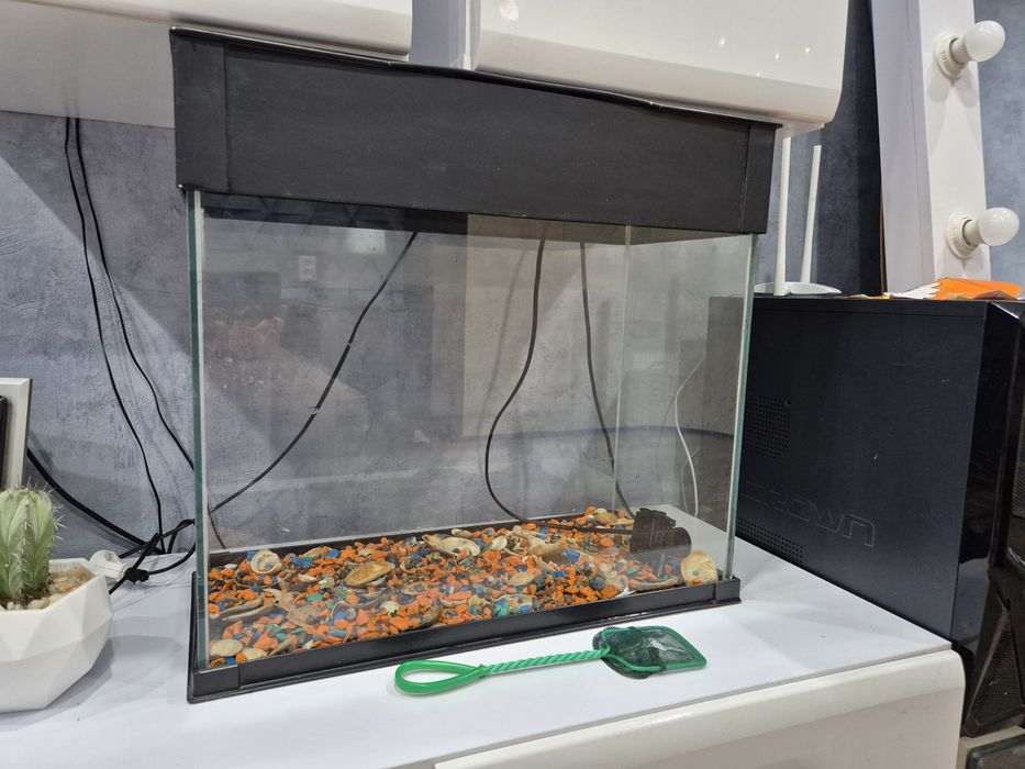 Аквариум с ракушками