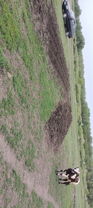 Продам участок с времянки