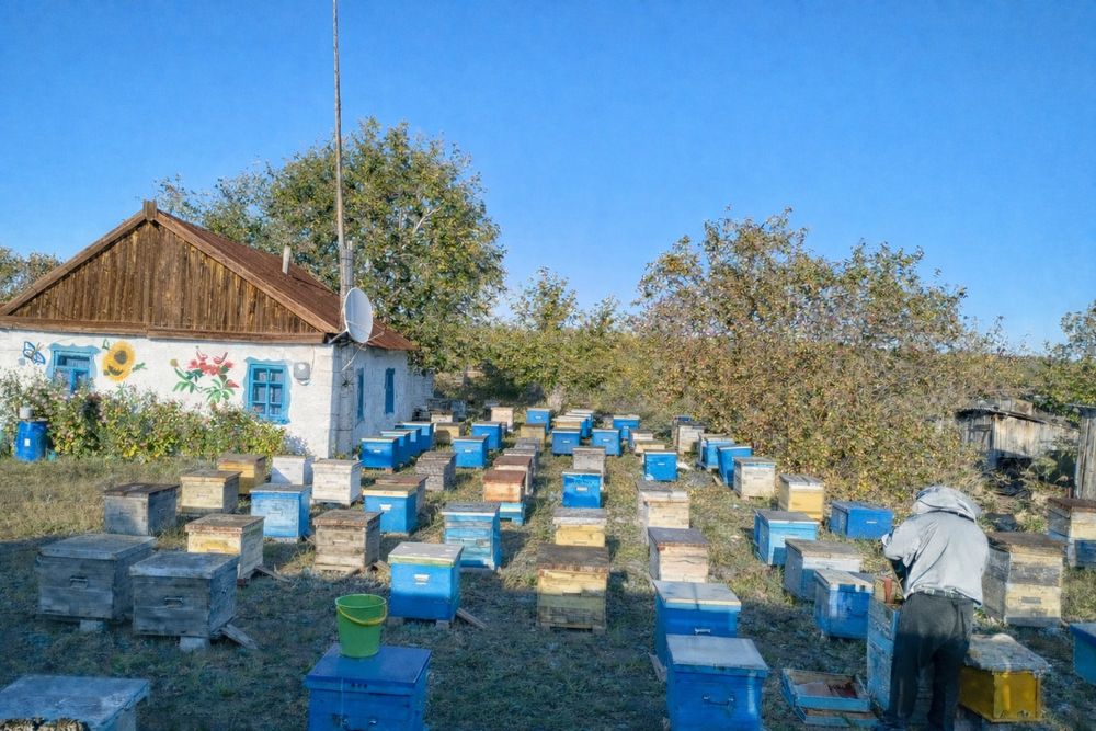 Мёд и продукты пчеловодства