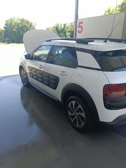 Vand c4 Cactus stare f buna