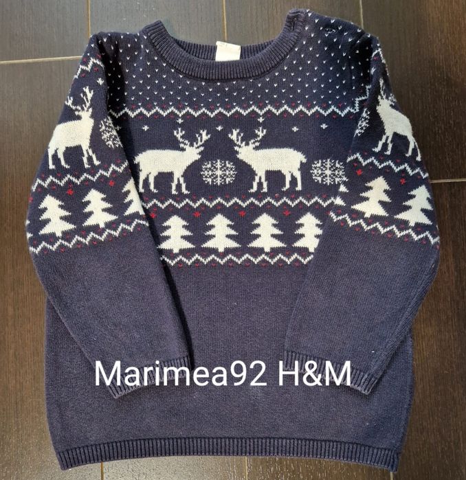 Tricouri, camasi si pulovere pentru copii