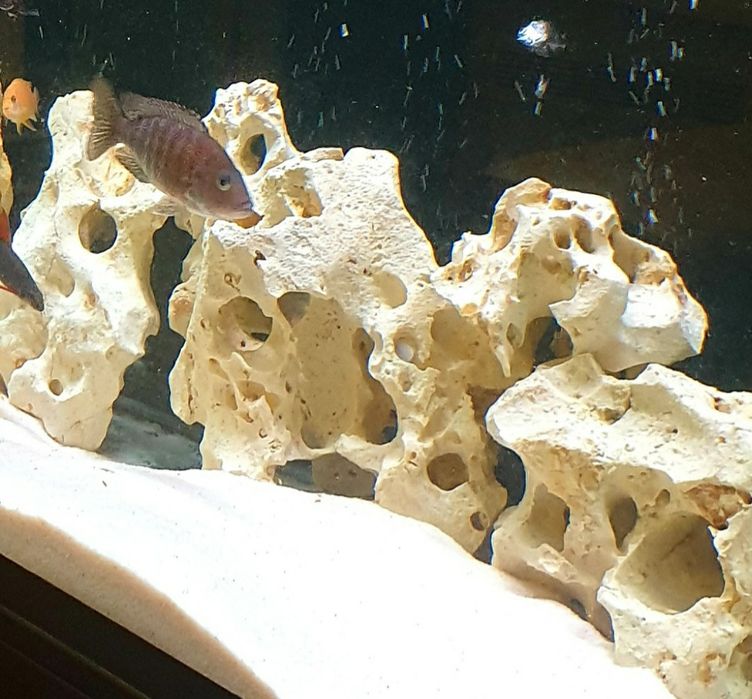 Камни для аквариума 18 клогам.природные.