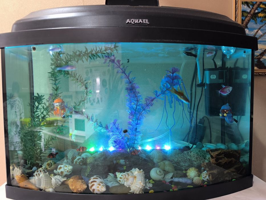 Аквариум 40 литров с рыбками и аксессуарами