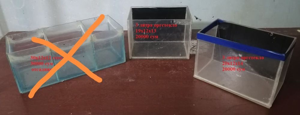 Небольшие аквариумы. Отсадники.