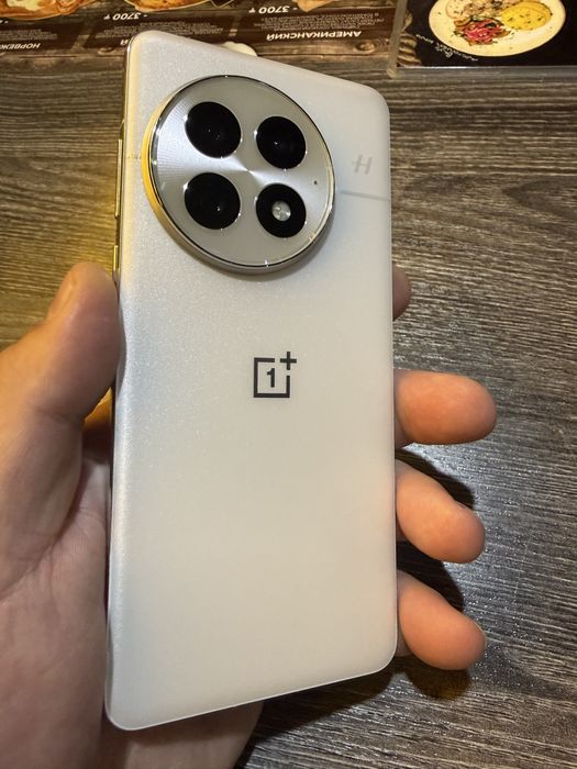 OnePlus 13 12/256