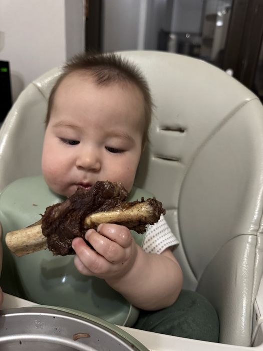 Коляска 2 в 1. Люлька и прогулочный блок