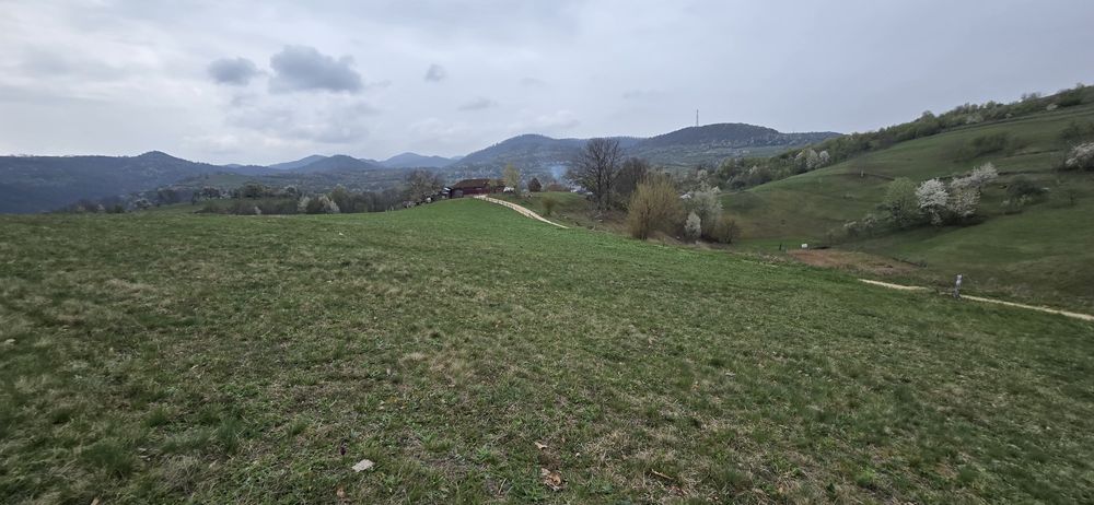 Teren Dumbrăvița de Codru