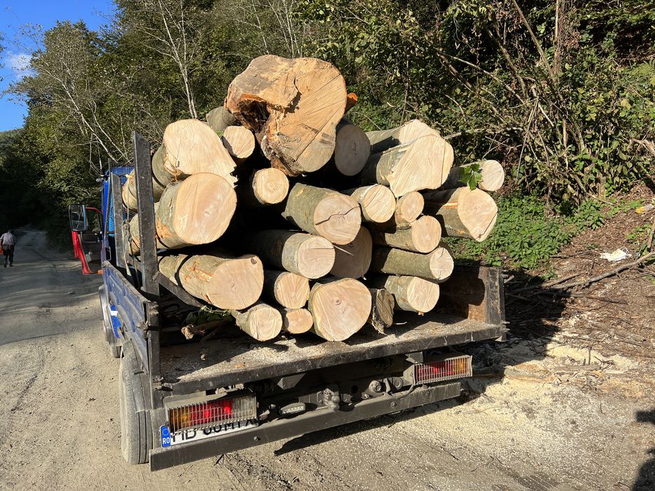 Lemn de foc material lemnos