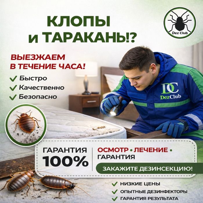 Дезинфекция уничтожение 100% клопов тараканов муравьев ос крыс и мышей
