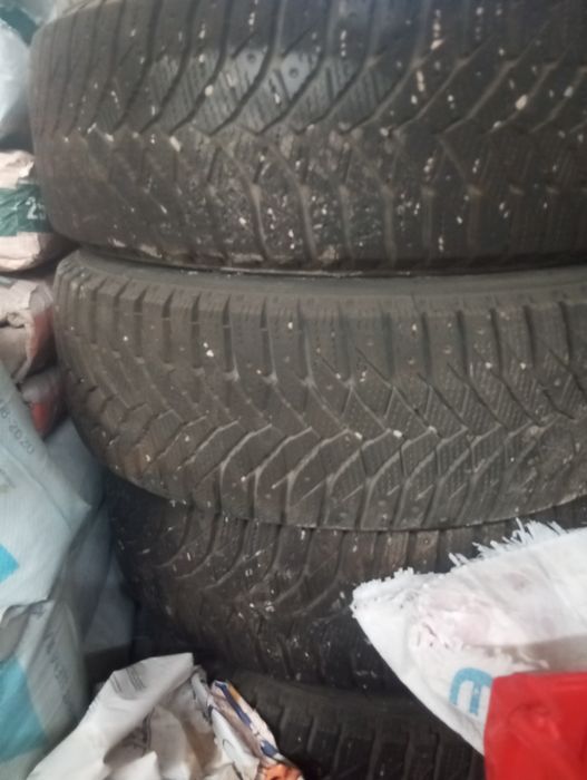 Ассалаумағалейкум