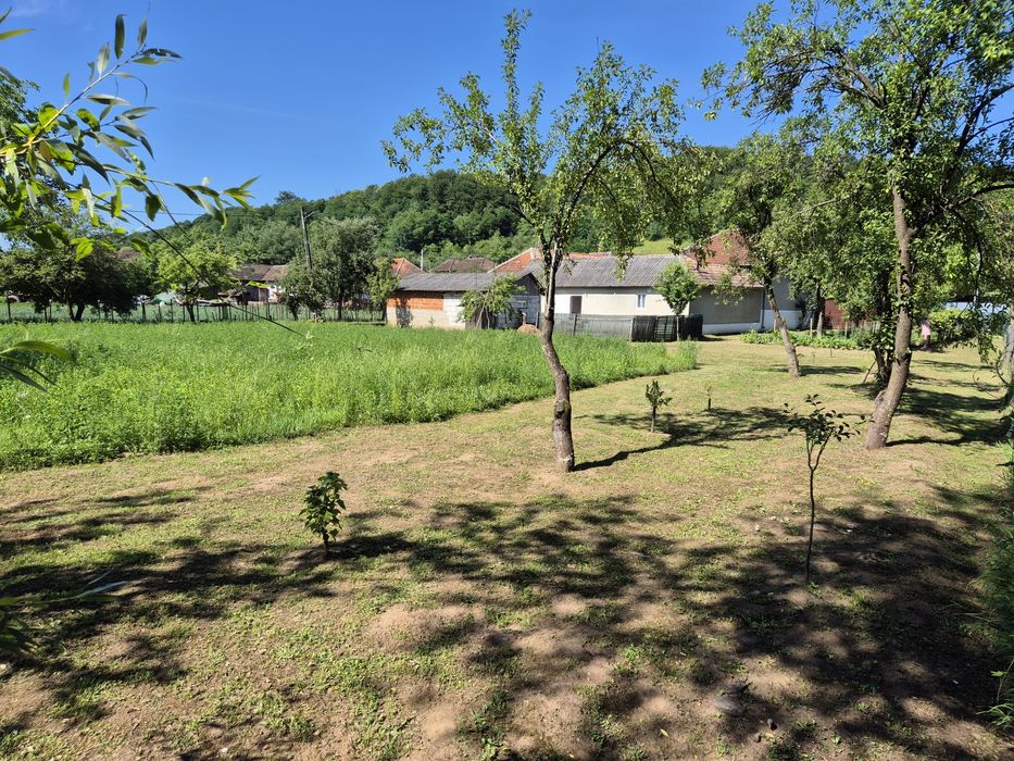 Vind 2 case pe același cefe