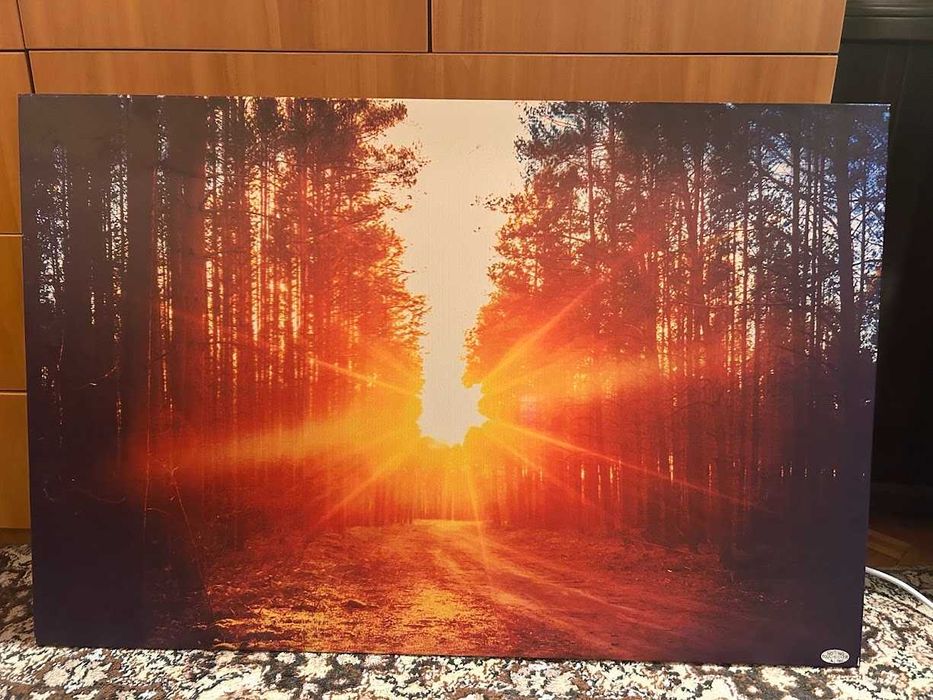 Инфрачервен отоплител панел/печка Klarstein - 580W