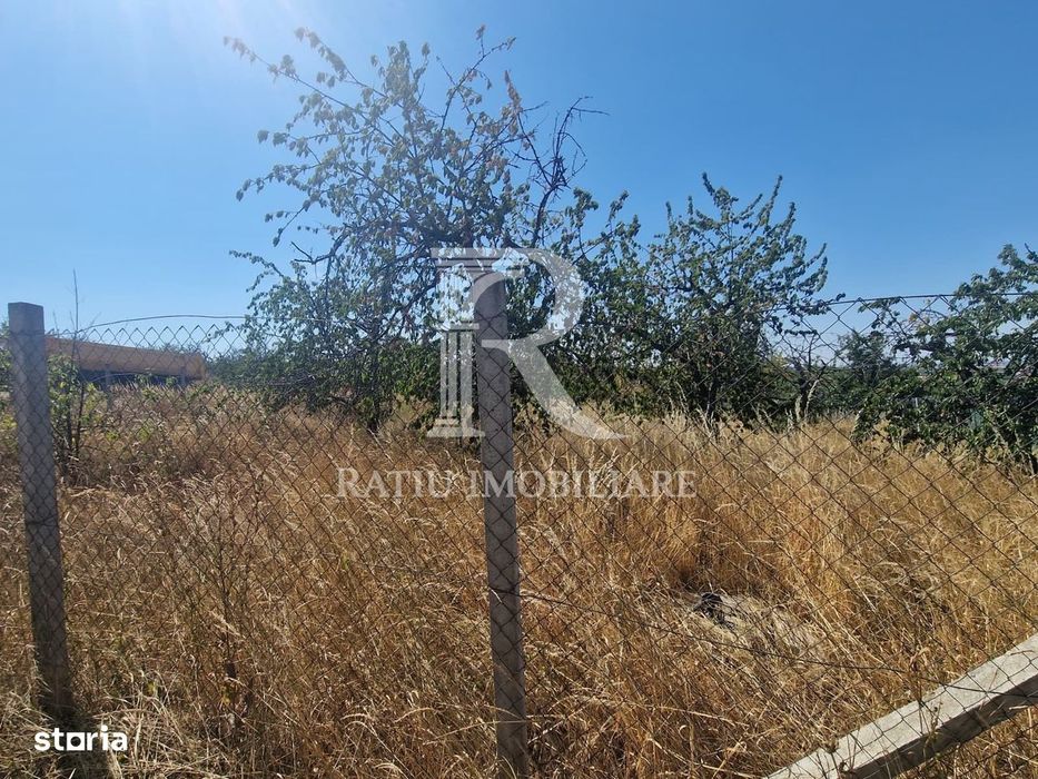 Teren Intravilan | Imprejmuit | 1000 mp | Paleu | Bihor