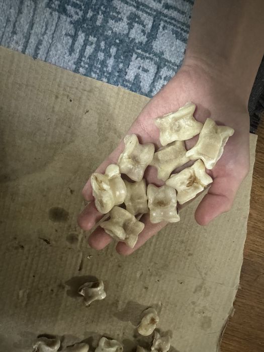 Асык для детей.