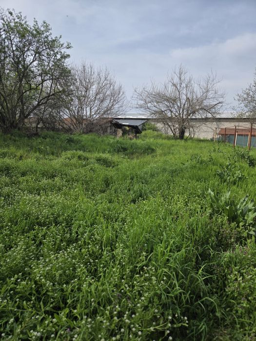 Продава се Къща в с. Ръжево, Област Пловдив - 200 кв.м за 102 €/кв.м - Снимка #8