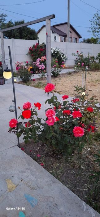 Vand teren 5000 mp sau schimb cu apartament