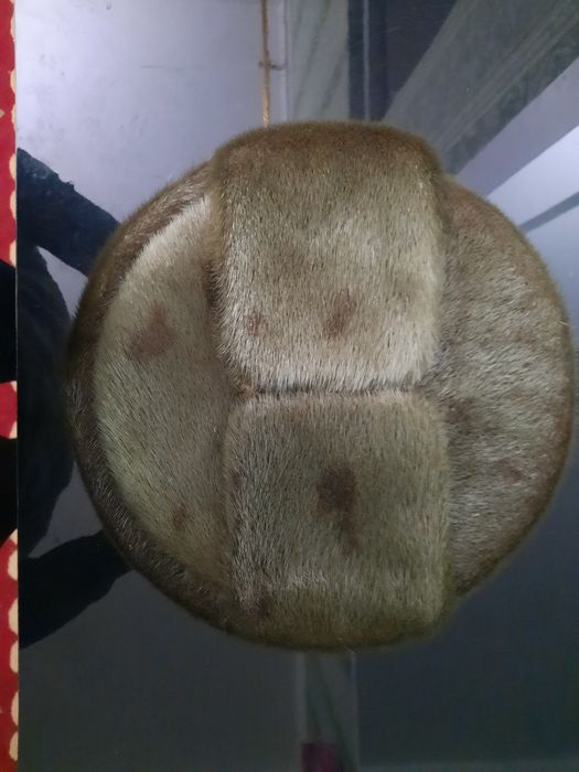 Nerpa popoq sotladi Rosiski