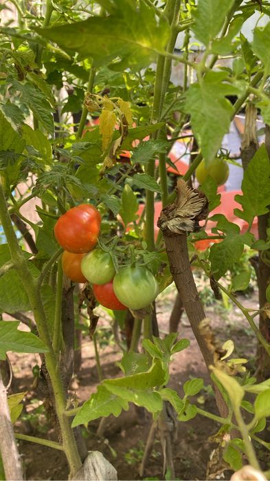 Продам квартиру в центре бурундая.