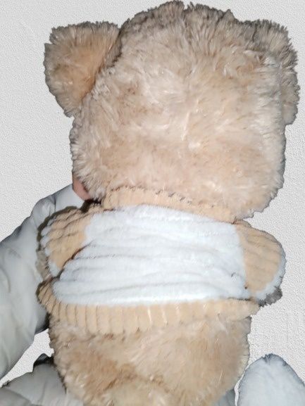 Jucărie plus ursuleț