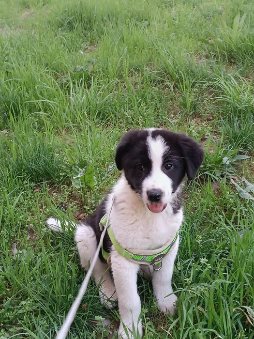 Только в ответственные руки!