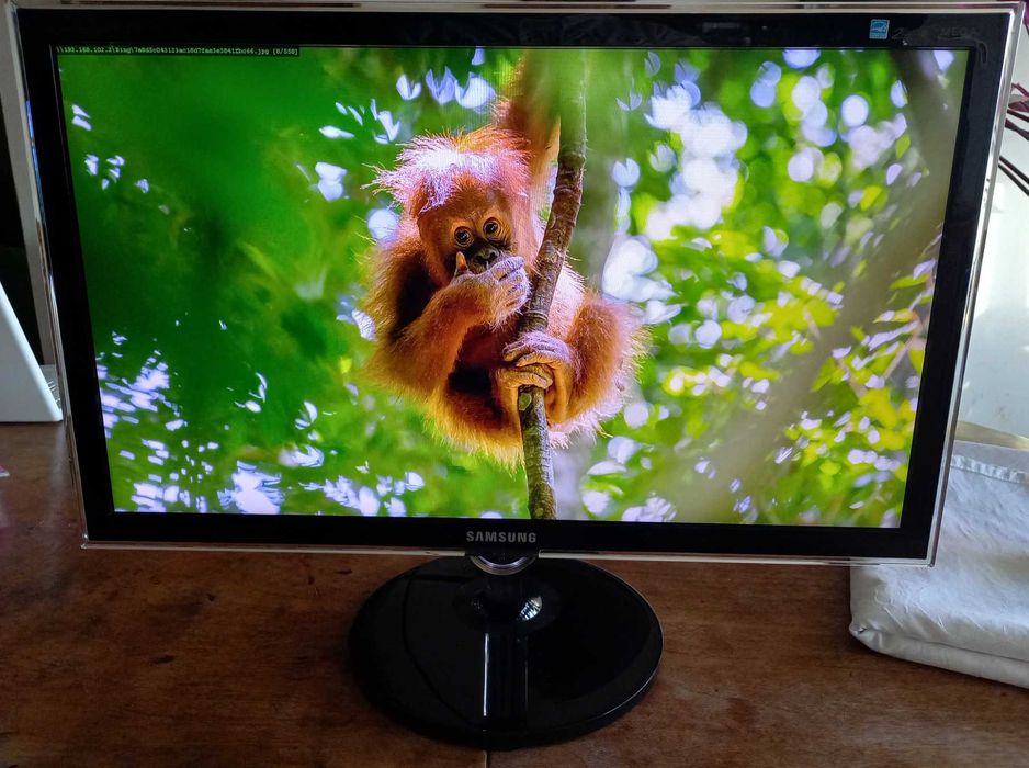 Samsung SyncMaster PX2370 23 inches Monitor