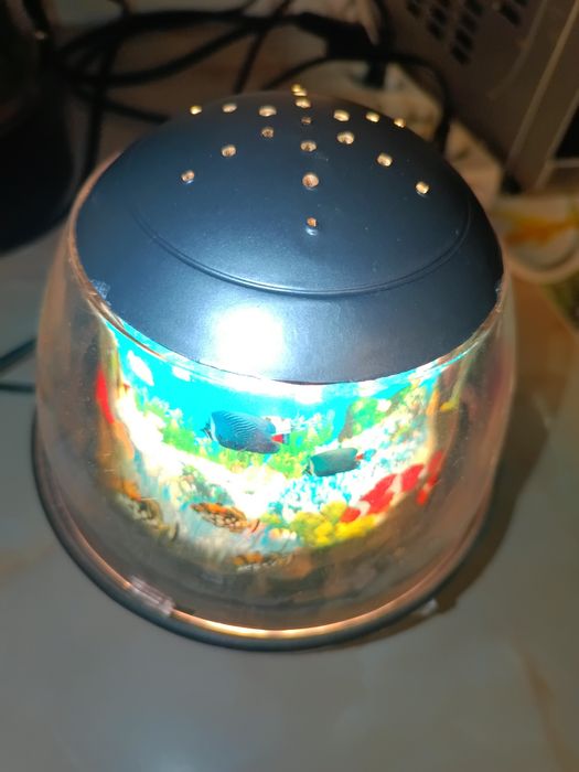 Puzzle/ jocuri de societate/ veioza cu pești