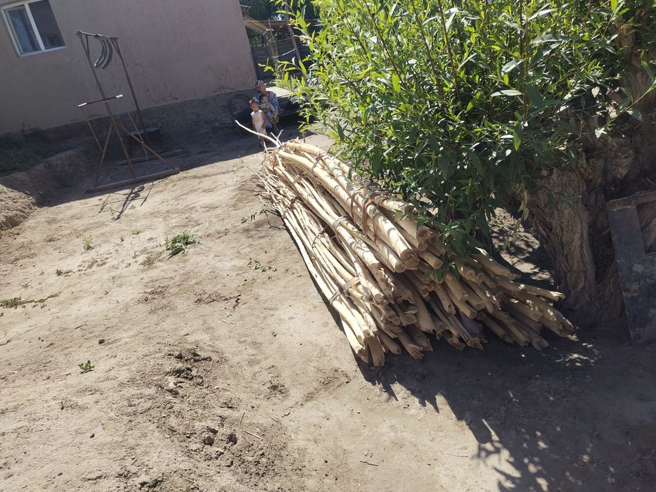 Qadalar satiladi  6000 swm shtukka iri mayda aralas.