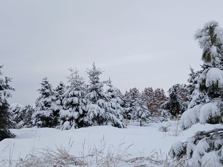 Участок в Южном.