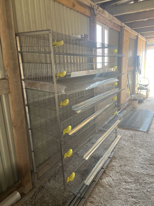 Клетка для содержания перепелов