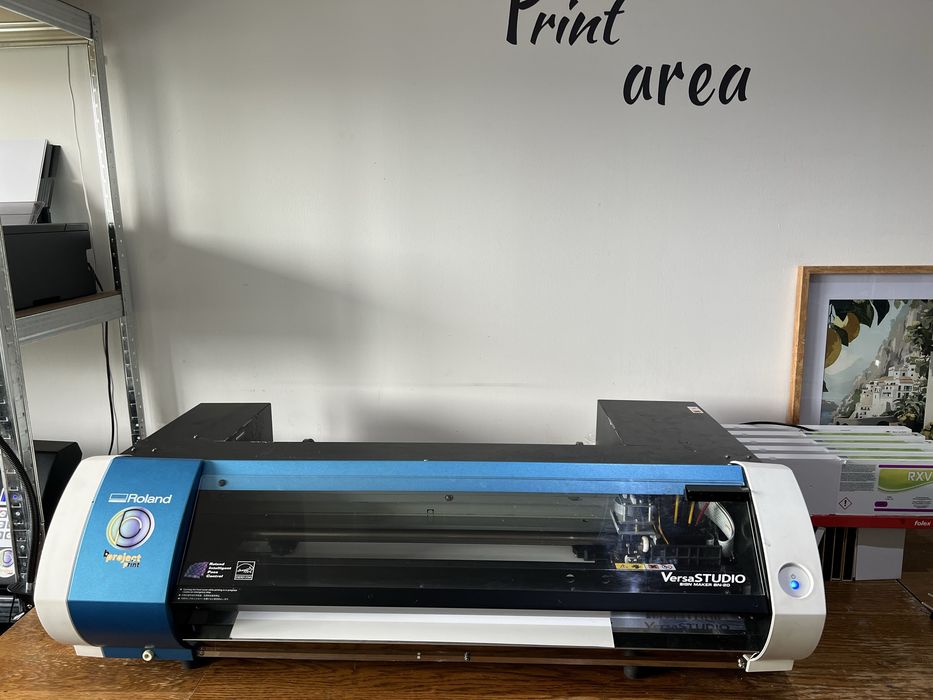 Iprimanta Roland BN20