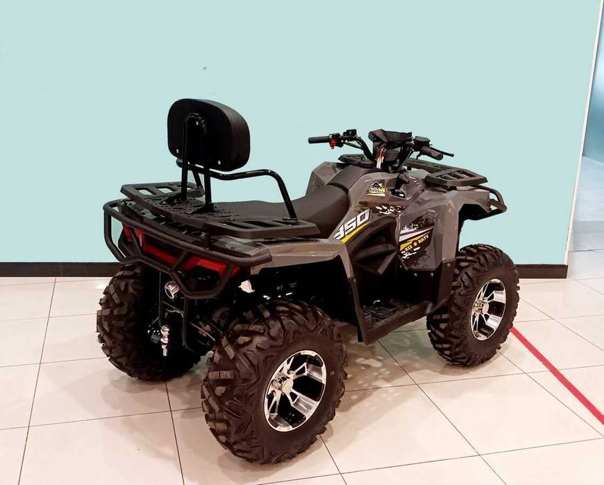 Квадроцикл Bizon ZX350
