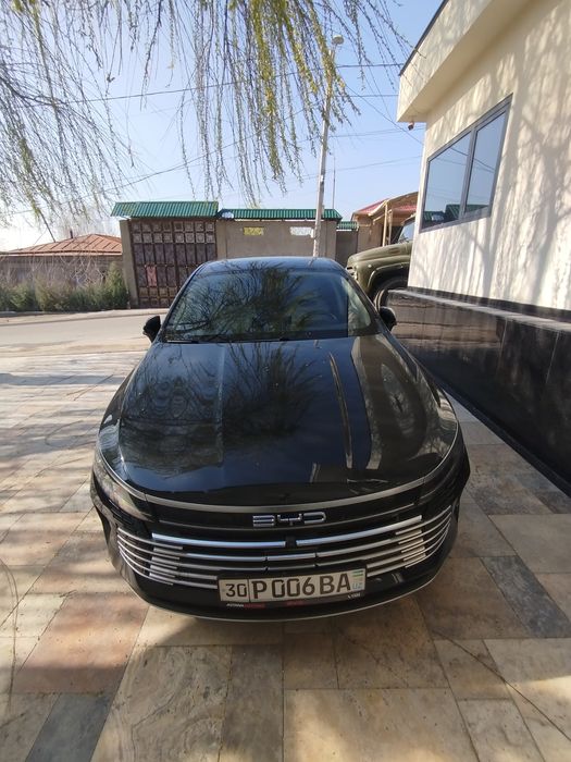 BYD chazor champion DM-I 55 KM L