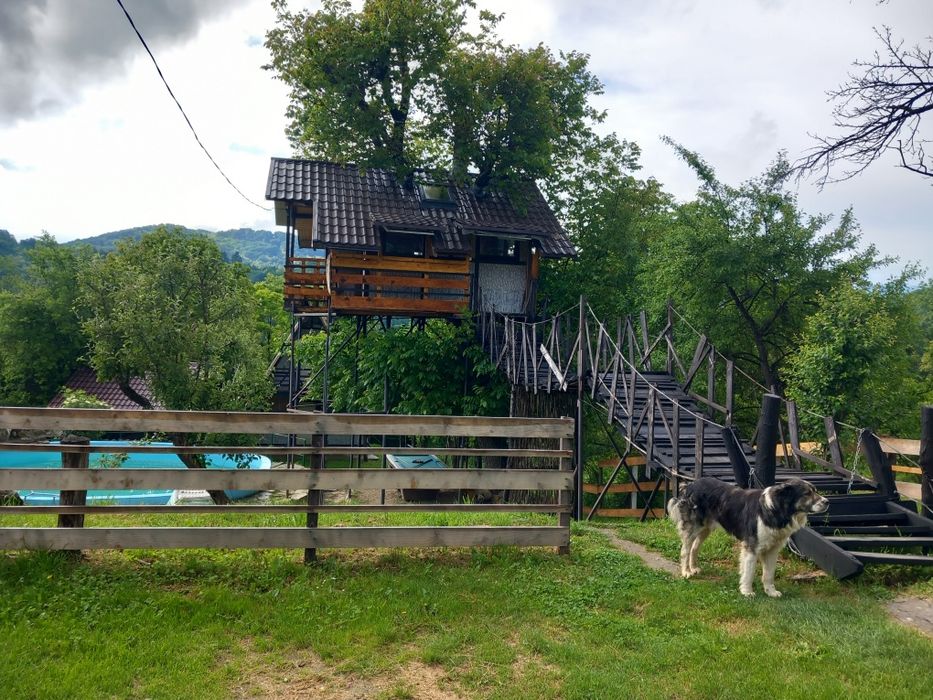 Cabana/pensiune de vanzare cu casuta in copac, Casa A-frame, piscina, ciubar. Judet Dimbovita, 110 km distanta București. Preț 55.000 EUR negociabil.