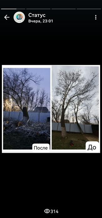 Спил деревьев, покос травы, уборка участков