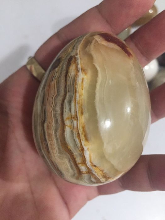 11 бр.колекция яйца от камьк