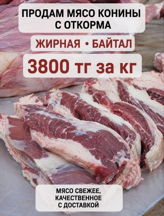 Продам мясо конины