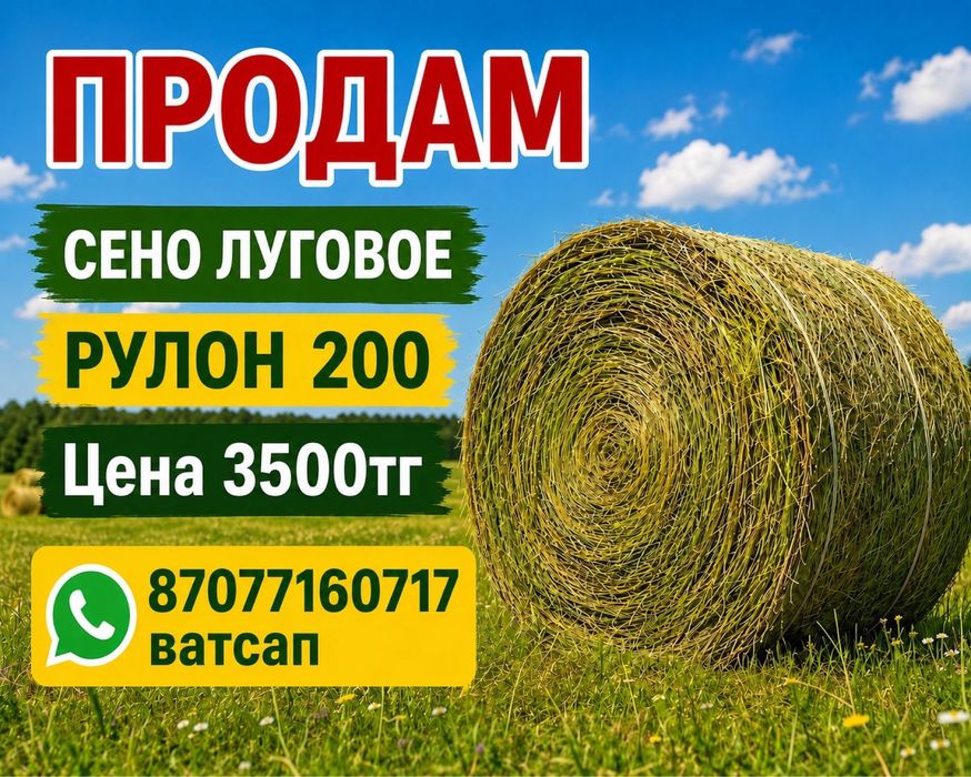 Продам сено луговое