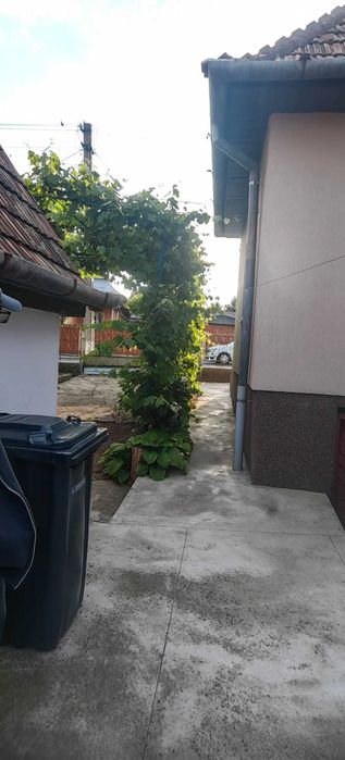 Vând casă individuală în Băi Turda pe str. Cireșului