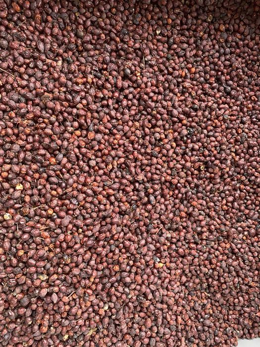 Vand macese uscate ambalate la sac de 25 kg. cantitati mari, 20 lei/kg