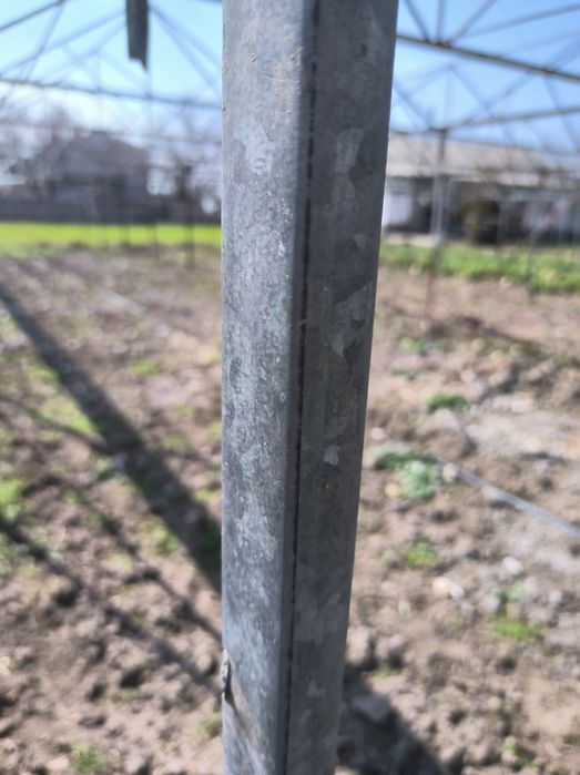 Teplitsa 6 sotx sotiladi