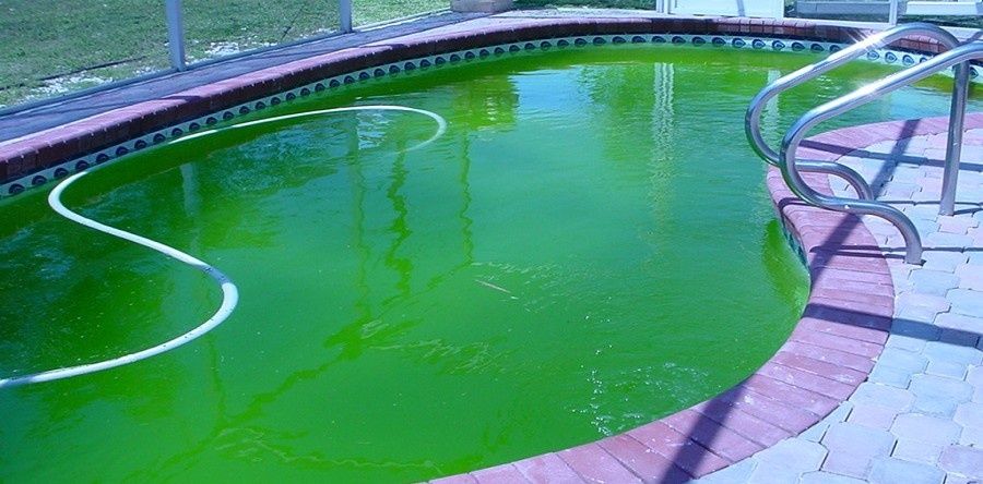 Альгицид для бассейна против водорослей
